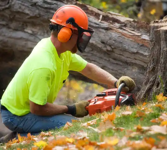 tree services Northlakes